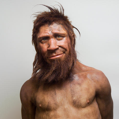neandertal_spyrou_cw244075_72dpi.jpg