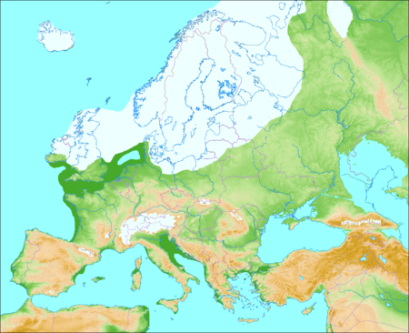Étendue du maximum glaciaire Weichsel-Würm à -22.000 ans